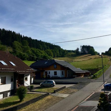 Ferienwohnung Am Nuerburgring/Wintersport Arft Acht Esterno foto