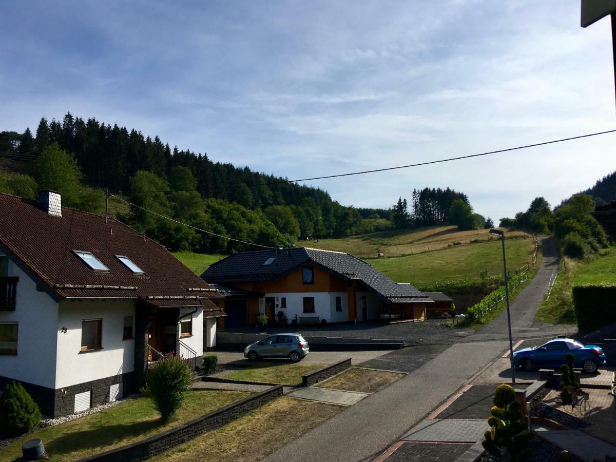 Ferienwohnung Am Nuerburgring/Wintersport Arft Acht Esterno foto