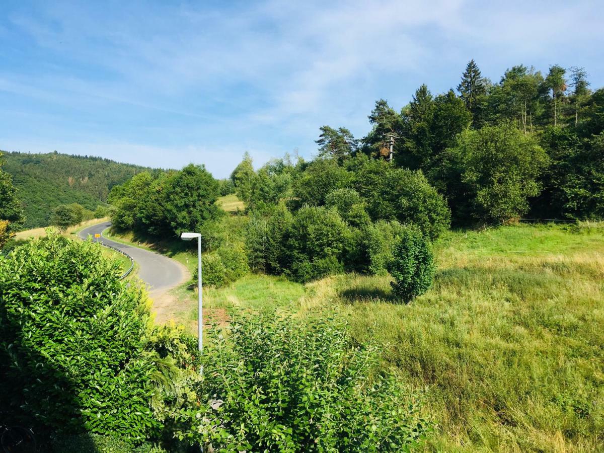 Ferienwohnung Am Nuerburgring/Wintersport Arft Acht Esterno foto